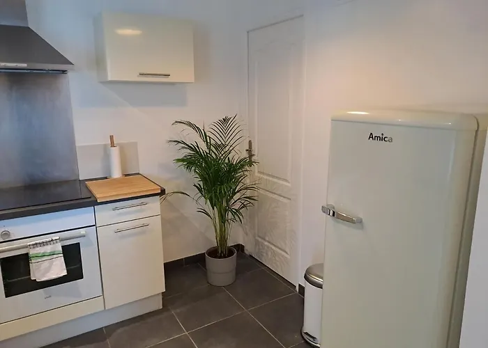 Bel Appartement Grande Terrasse Avec Parking A Dijon